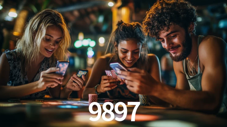 Premium Interface 9897